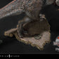 Prime Collectible Figure "Jurassic Park III" Spinosaurus