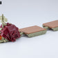 Zoids D-Style Gustav Moonbay Special (Clear Parts Append)