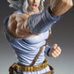 Super Action Statue "Fist of the North Star" Toki