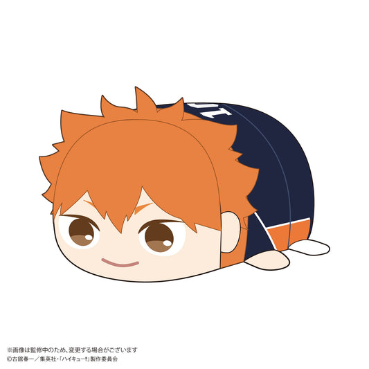 HQ-74 "Haikyu!!" Potekoro Mascot (M Size) A Hinata Shoyo