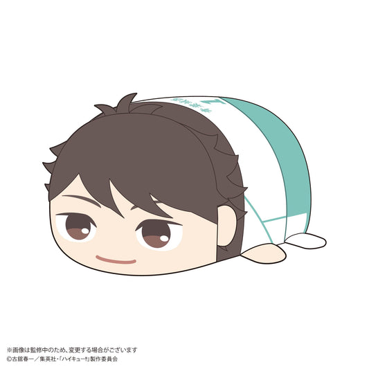 HQ-74 "Haikyu!!" Potekoro Mascot (M Size) D Oikawa Toru