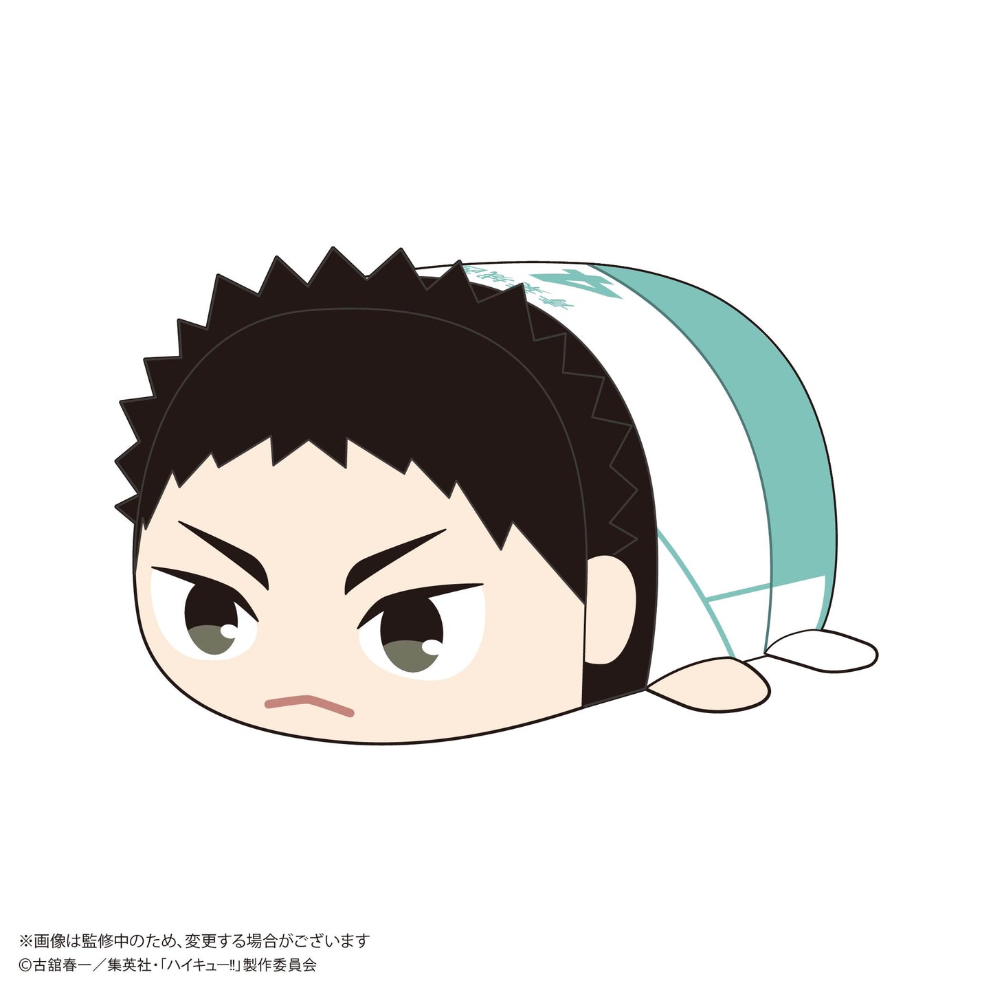 HQ-74 "Haikyu!!" Potekoro Mascot (M Size) E Iwaizumi Hajime