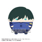 BL-41 "Blue Lock" Fuwakororin (M Size) 4 C Itoshi Rin, Stuffed Animals, animota