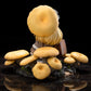 Reverse Studio The Mushroom Girls Series No.3 Citrine Pleurotus 1/1 Scale Figure