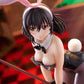 Strike the Blood Himeragi Yukina Bunny Girl Style