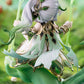 Genshin Impact Nahida Physic of Purity Ver. 1/7 Complete Figure
