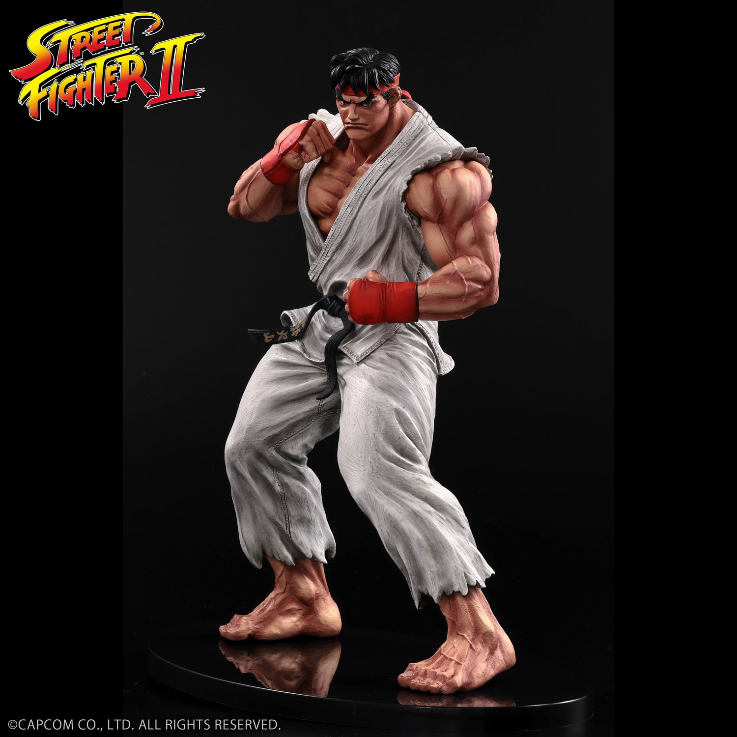 Street Fighter Series figures and goods