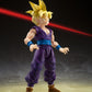 【Resale】S.H.Figuarts "Dragon Ball Z" Super Saiyan Son Gohan -The Warrior Who Surpassed Gokou-