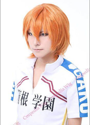 "Yowamushi Pedal" Hayato Shinkai style cosplay wig