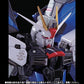 METAL BUILD Mobile Suit Gundam SEED Freedom Gundam Prism Coat Ver.