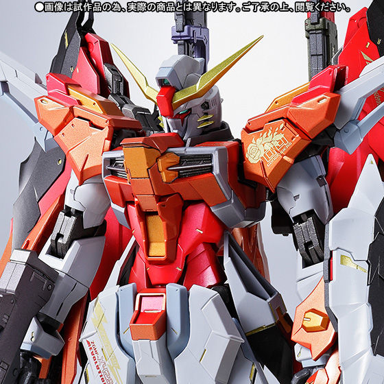 METAL BUILD Destiny Gundam (Heine's machine)