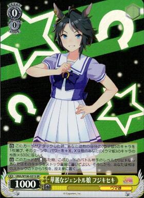Fuji Kiseki UMA/W106-021S SR