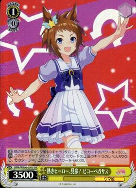 Biko Pegasus UMA/W106-031S SR