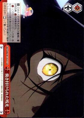 The Afterglow Burned Into Memory UMA/W119-077 CR