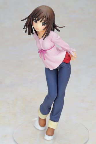 Bakemonogatari - Nadeko Sengoku 1/8 Complete Figure | animota