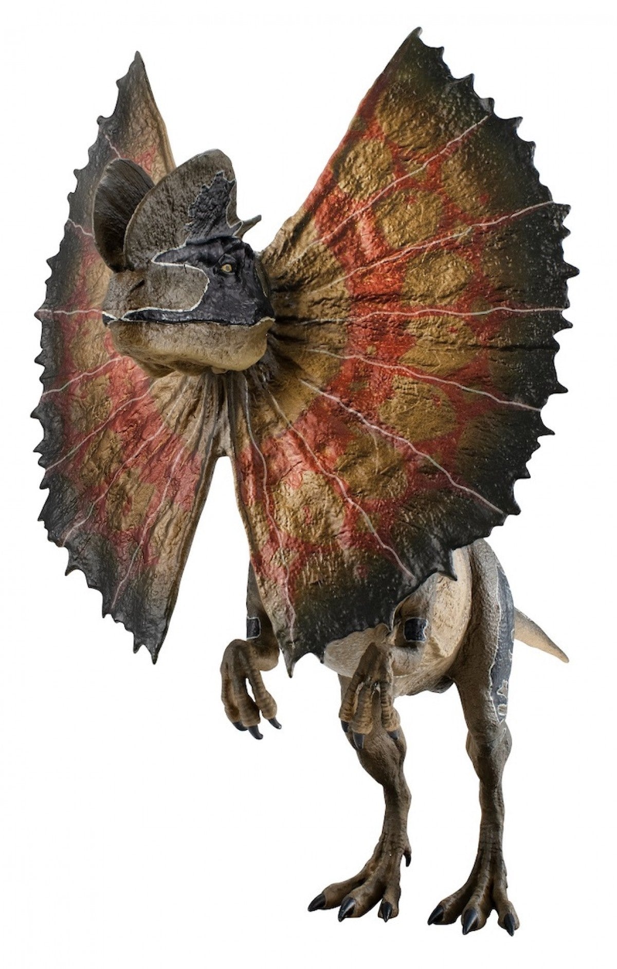 Jurassic Park 30th Aniversary Dilophosaurus [Minna no-Kuji Prize B]