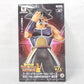 Super Dragon Ball Heroes DXF 7. Jahrestag Vol.2 Maskierter Saiyajin