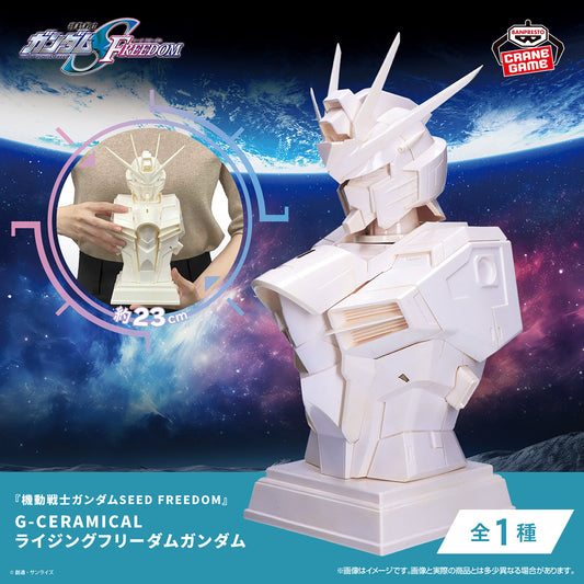 Mobile Suit Gundam SEED FREEDOM G-CERAMICAL Rising Freedom Gundam