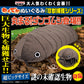 Wakudeka Plush - Catching Rare Beasts Series: Rolled-Up Pill Bug