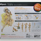 S.H.Figuarts Body-chan Kentaro Yabuki Edition DX SET (Pale Orange Color ver.)