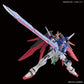 HGCE "Gundam SEED Destiny" Destiny Gundam | animota