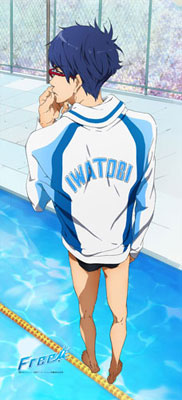 Free! - SuriSuri Wall Scroll: Rei, Decorative Tapestries, animota