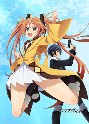 Black Bullet - B2 Wall Scroll, Decorative Tapestries, animota