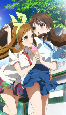 Glasslip - Multipurpose Wall Scroll Split Curtain, Decorative Tapestries, animota