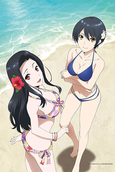 Mahouka Koukou no Rettousei Visitor Arc B2 Wall Scroll, Decorative Tapestries, animota