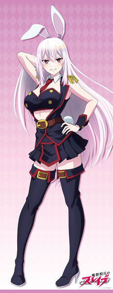 TV Anime "Chained Soldier" New Illustration Life-size Wall Scroll Bunny Girl ver. (1) Kyouka Uzen, Decorative Tapestries, animota