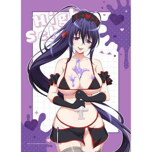 High School D x D HERO New Illustration B2 Wall Scroll (Akeno Himejima / Black Nurse) Double Suede(Pre-order)