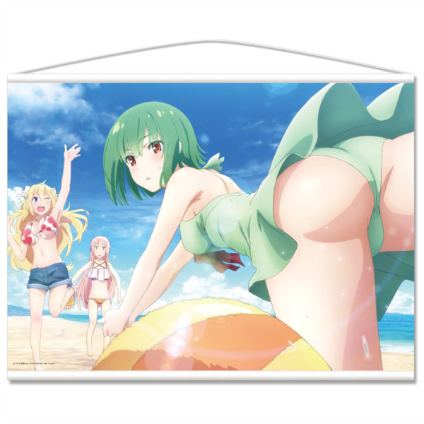 Girly Air Force B2 Wall Scroll B [Gripen & Eagle & Phantom Swimsuit], Decorative Tapestries, animota