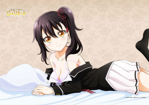 Kishuku Gakkou no Juliet B2 Wall Scroll Hasuki, Decorative Tapestries, animota