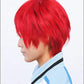 "Kuroko no Basket" Seijuro Akashi style cosplay wig | animota