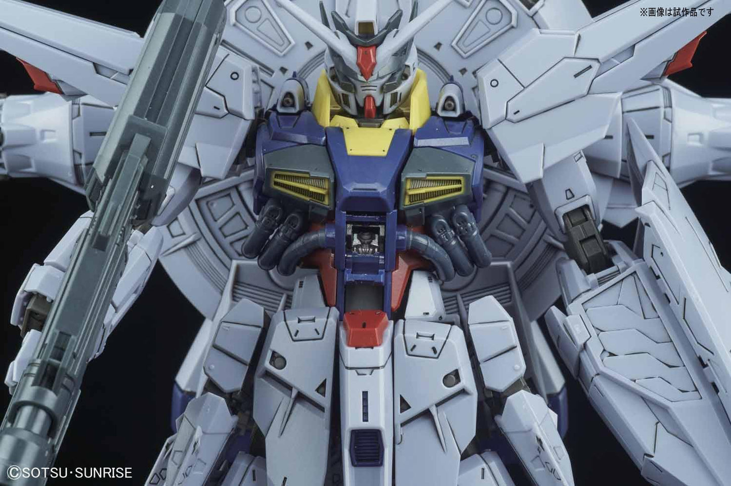 1/100 MG Providence Gundam G.U.N.D.A.M. Premium Edition | animota