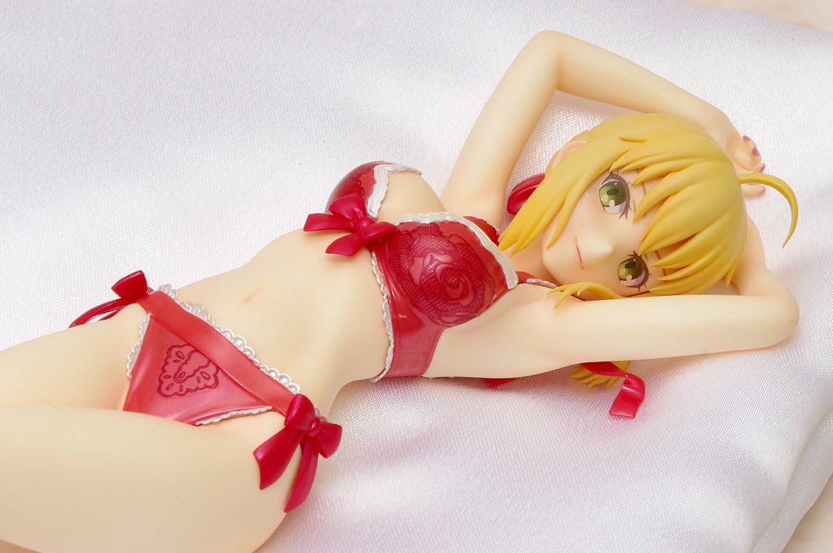 Lingerie Style Fate/stay night Saber Special Premium Edition | animota