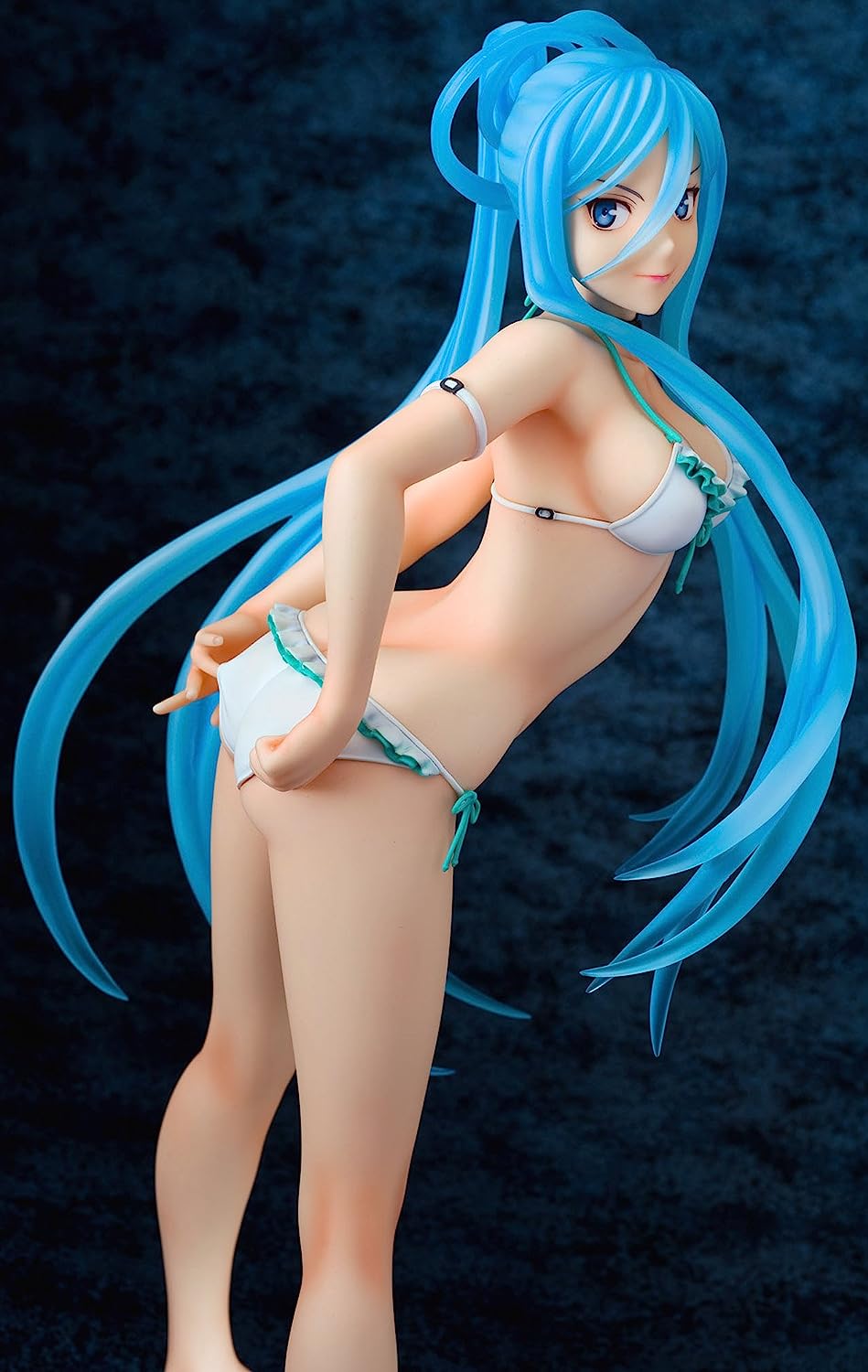 Movie Arpeggio of Blue Steel: Ars Nova DC 1/4 Takao Swimsuit Figure | animota