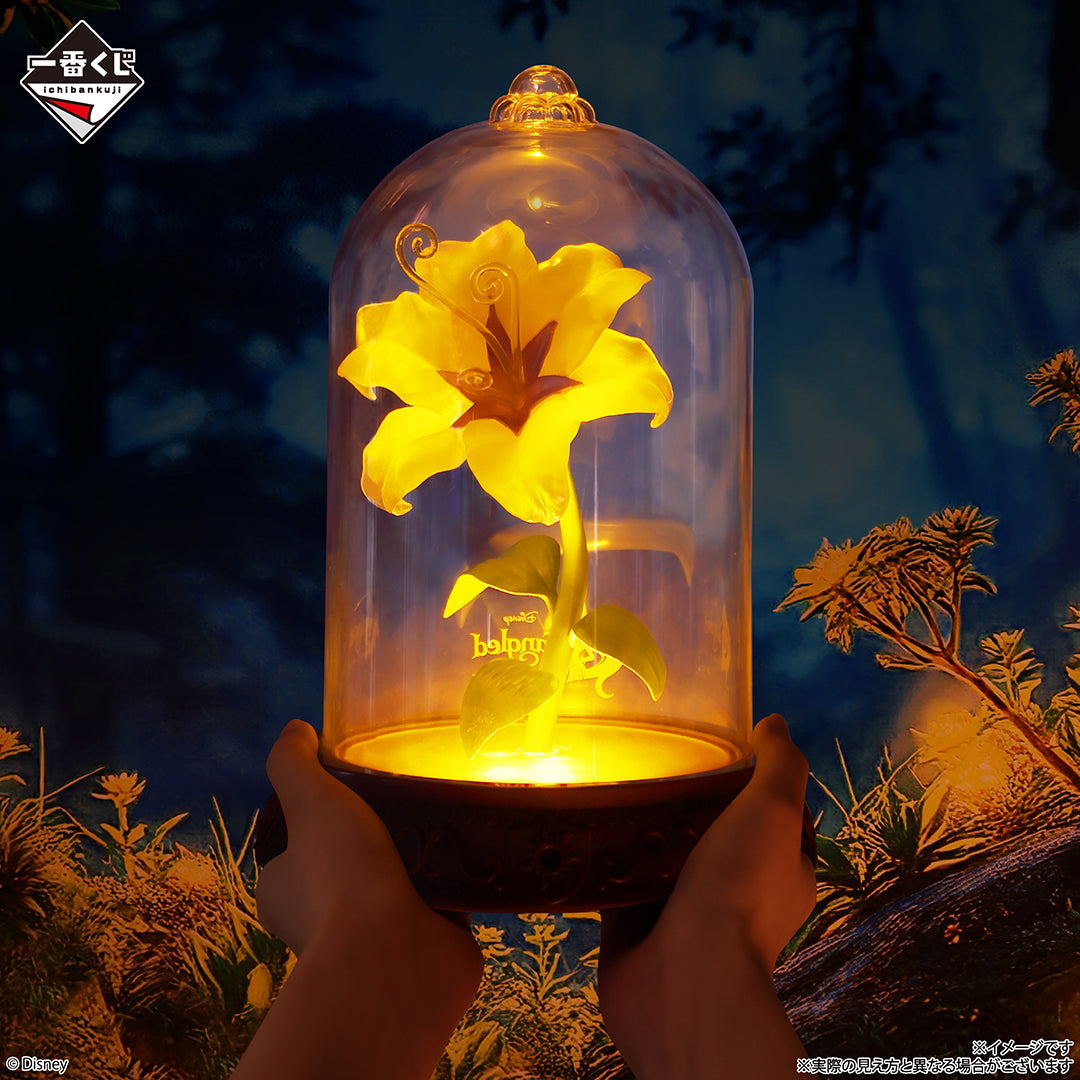Disney Princess Dream in color - Magic Flower Light [Ichiban-Kuji Prize Last One]