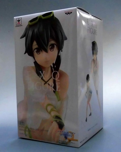 Banpresto Sword Art Online Memory Defrag EXQ Figure Shinon