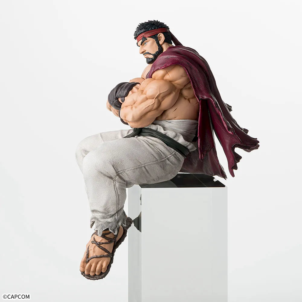 Street Fighter 6 Chokonose Premium Figure Ryu, Action & Toy Figures, animota