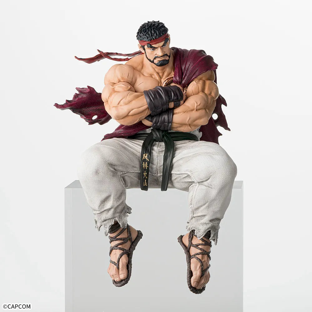 Street Fighter 6 Chokonose Premium Figure Ryu, Action & Toy Figures, animota