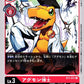 Agumon Expert BT1-011 C