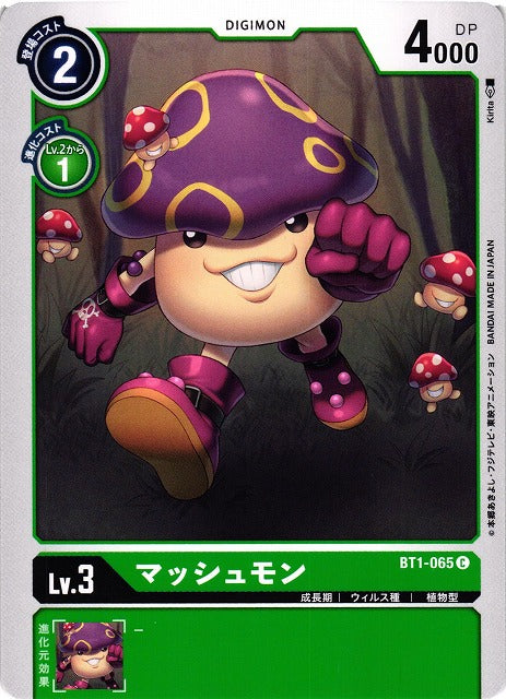 Mushroomon BT1-065 C