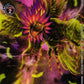 Phoenixmon ST1-10 Parallel R