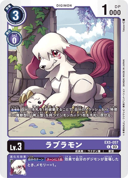 Labramon EX5-057 C