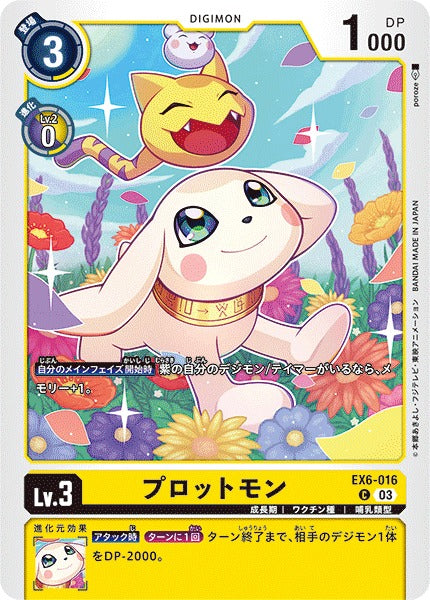 Salamon EX6-016 C