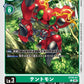 Tentomon ST20-07 C