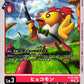 Hyokomon BT26-009 C