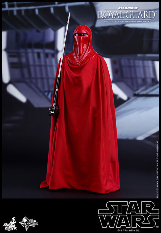 Movie Masterpiece "Star Wars Episode VI: Return of the Jedi" 1/6 Scale Figure: Royal Guard