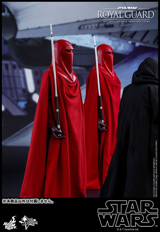 Movie Masterpiece "Star Wars Episode VI: Return of the Jedi" 1/6 Scale Figure: Royal Guard